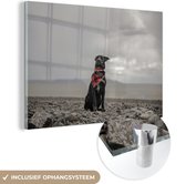 MuchoWow® Glasschilderij 90x60 cm - Schilderij acrylglas - Hond - Strand - Wolk - Foto op glas - Schilderijen