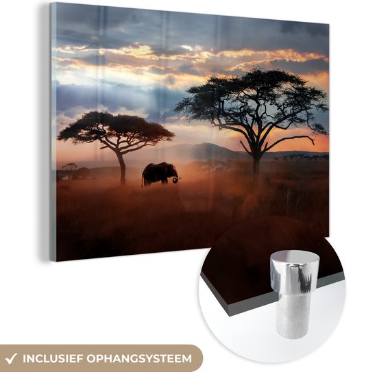 MuchoWow® Glasschilderij 120x80 cm - Schilderij acrylglas - Olifant - Boom - Berg - Afrika - Foto op glas - Schilderijen