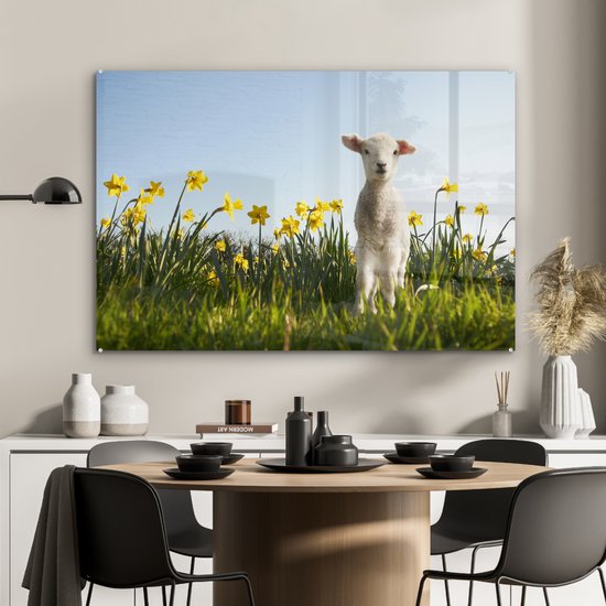 Agneau parmi les fleurs jaunes Plexiglas 120x80 cm - Tirage photo sur Glas (décoration murale plexiglas)