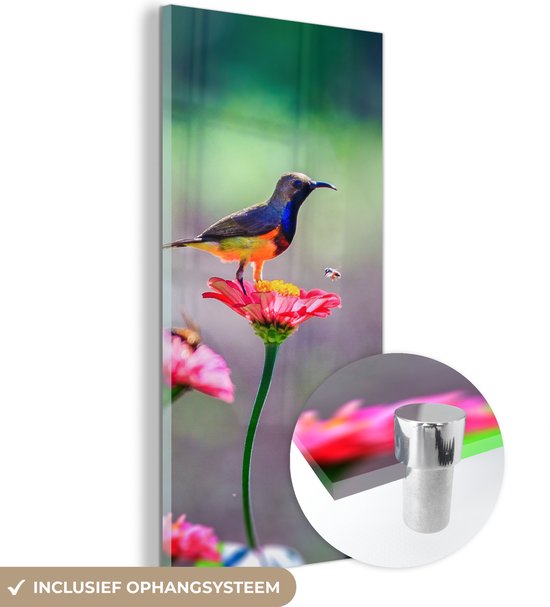 Glasschilderij - Close-up van een kolibrie op roze bloemen - Plexiglas Schilderijen