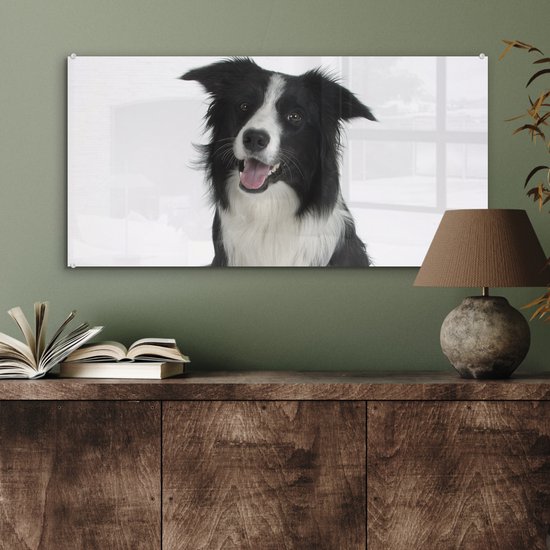 MuchoWow® Tableau sur Verre - Photo Portrait d'un Bon Border Collie Assis - 80x40 cm - Peintures sur Verre Acrylique - Photo sur Glas