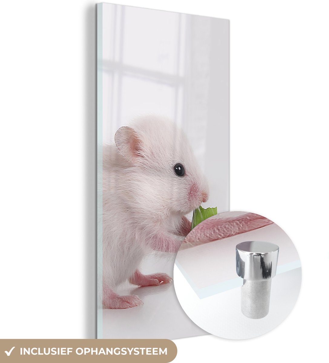 ® Glasschilderij 60x120 cm - Schilderij acrylglas - Etende baby hamster - Foto op glas - Muurdecoratie woonkamer - Wanddecoratie slaapkamer - Schilderijen