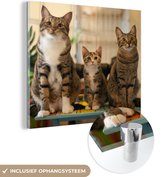 MuchoWow® Glasschilderij 20x20 cm - Schilderij acrylglas - Drie katten op kleine tafel - Foto op glas - Schilderijen