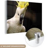 MuchoWow® Glasschilderij 180x120 cm - Schilderij acrylglas - Een witte kaketoe met een gele kuif - Foto op glas - Schilderijen