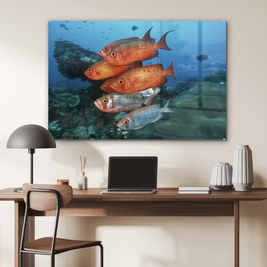 Poisson rouge et gris près de l' Afrique Glas 120x80 cm - Tirage photo sur Glas (décoration murale plexiglas)