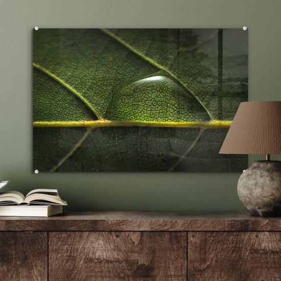 MuchoWow® Peinture sur verre 60x40 cm - Peinture sur verre - Photo de goutte d'eau sur une feuille botanique - Photo sur verre acrylique - Peintures