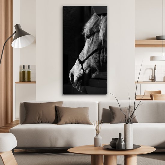 MuchoWow® Peinture sur verre - Cheval - Licol - Lumière - 60x120 cm - Peintures sur verre acrylique - Photo sur Glas