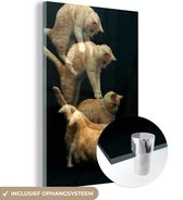 MuchoWow® Glasschilderij 100x150 cm - Schilderij acrylglas - Springende kat - Foto op glas - Schilderijen