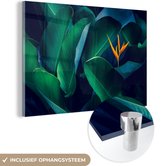 MuchoWow® Glasschilderij 150x100 cm - Schilderij acrylglas - Tropische bladeren met bloem - Foto op glas - Schilderijen