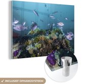 MuchoWow® Glasschilderij 60x40 cm - Schilderij acrylglas - Koraalrif in een heldere oceaan - Foto op glas - Schilderijen