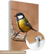 MuchoWow - Glasschilderij - Foto op glas - Koolmees - Vogel - Takken - 30x40 cm - Acrylglas - Glasschilderij natuur - Schilderij glas - Glasschilderij vogels - Woonkamer