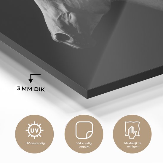 MuchoWow® Peinture sur Verre - Paarden - Animaux - Portrait - 60x40 cm - Peintures sur Verre Acrylique - Photo sur Glas