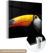 MuchoWow® Glasschilderij 20x20 cm - Schilderij acrylglas - Toekan - Vogel - Snavel - Foto op glas - Schilderijen