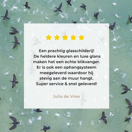 MuchoWow® Peinture sur verre 40x30 cm - Peinture sur verre acrylique - Vue de dessus des oiseaux au-dessus de la mer - Photo sur verre - Peintures