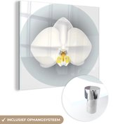 MuchoWow® Peinture sur verre - Une illustration d'orchidées blanches - 50x50 cm - Peintures sur verre acrylique - Photo sur Glas