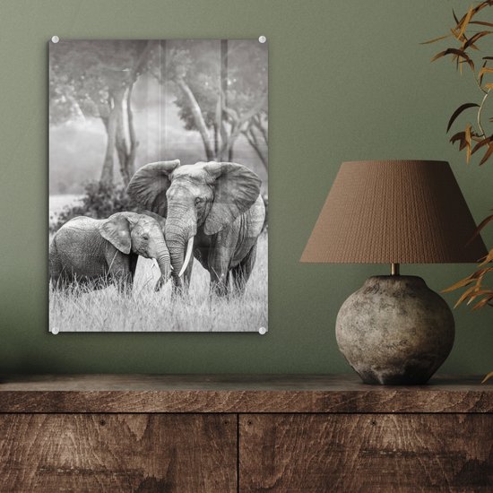 MuchoWow® Tableau en verre 30x40 cm - Peinture sur verre acrylique - Éléphant - Animaux - Nature - Noir et blanc - Photo sur verre - Tableaux