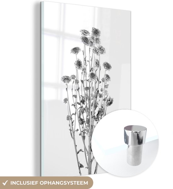 MuchoWow® Glasschilderij 120x180 cm - Schilderij acrylglas - Gedroogde paarse bloemen op witte achtergrond - zwart wit - Foto op glas - Schilderijen