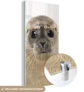 MuchoWow® Peinture sur verre 60x120 cm - Peinture sur verre - Garçons - Sceau - Enfants - Filles - Animaux - Photo sur verre acrylique - Peintures