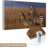 MuchoWow® Glasschilderij 120x60 cm - Schilderij acrylglas - Moeder en baby zebra - Foto op glas - Schilderijen