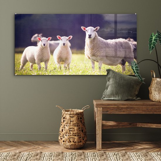MuchoWow® Peinture sur verre 120x60 cm - Peinture sur verre - Mouton - Agneau - Fleurs - Photo sur verre acrylique - Peintures