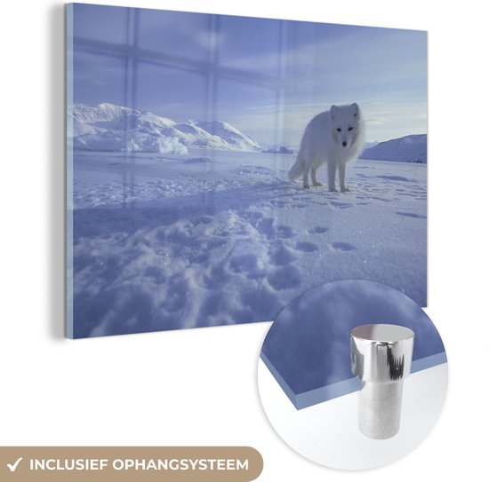 MuchoWow® Glasschilderij - Vos - Sneeuw - Bergen - Acrylglas Schilderijen - Foto op Glas