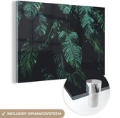 MuchoWow® Glasschilderij 30x20 cm - Schilderij acrylglas - Jungle - Palmboom - Bladeren - Tropisch - Foto op glas - Schilderijen