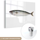 MuchoWow® Glasschilderij 60x40 cm - Schilderij acrylglas - Een losse makreel met een witte achtergrond - Foto op glas - Schilderijen