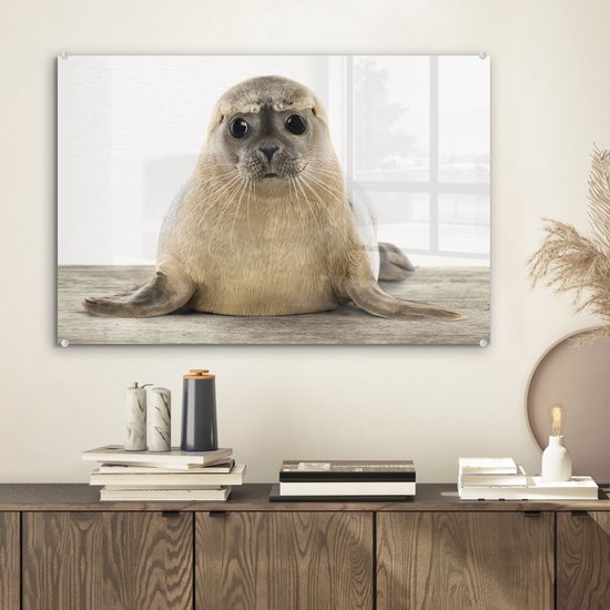 MuchoWow® Peinture sur verre 60x40 cm - Peinture sur verre acrylique - Sceau - Animaux - Enfant - Garçons - Filles - Enfants - Photo sur verre - Peintures