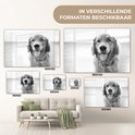 Product afbeelding  9