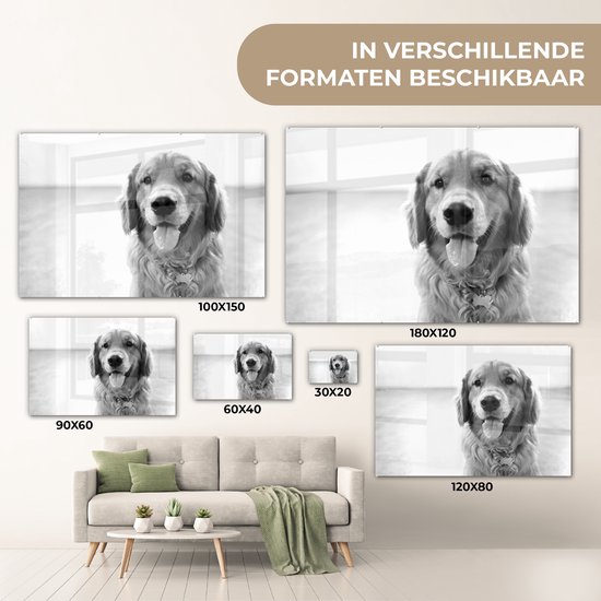® Glasschilderij 180x120 cm - Schilderij acrylglas - Portret van een super mooie Golden Retriever - Foto op glas - Muurdecoratie woonkamer - Wanddecoratie slaapkamer - Schilderijen