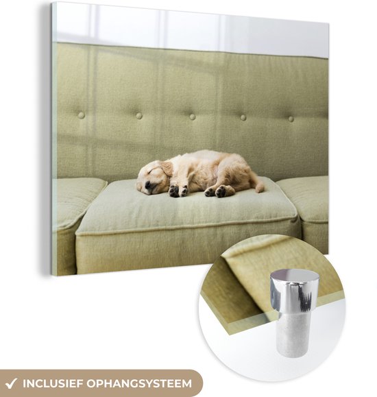 MuchoWow® Glasschilderij 160x120 cm - Schilderij acrylglas - Slapende puppy op de bank - Foto op glas - Schilderijen