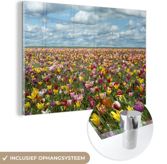 MuchoWow® Glasschilderij 90x60 cm - Schilderij acrylglas - Tulpen - Kleuren - Wolken - Foto op glas - Schilderijen