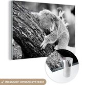 MuchoWow® Glasschilderij 150x100 cm - Schilderij acrylglas - Koala - Boom - Slapen - Kinderen - Jongens - Meiden - Foto op glas - Schilderijen