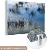 MuchoWow® Glasschilderij 60x40 cm - Schilderij acrylglas - Riet in het water van het Spaanse Nationaal park Tablas de Daimiel - Foto op glas - Schilderijen