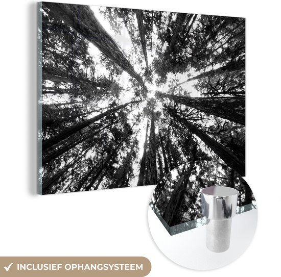 MuchoWow® Glasschilderij 90x60 cm - Schilderij acrylglas - Hoge bomen in jungle - zwart wit - Foto op glas - Schilderijen