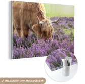 MuchoWow® Glasschilderij 60x40 cm - Schilderij acrylglas - Een koe in de heide van het Nationaal park New Forest in Engeland - Foto op glas - Schilderijen
