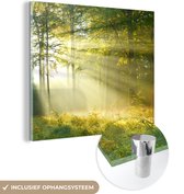 MuchoWow® Glasschilderij 50x50 cm - Schilderij acrylglas - Bos - Licht - Lente - Foto op glas - Schilderijen