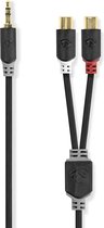 Nedis CABW22250AT02 Stereo Audiokabel 3,5 Mm Male - 2x Rca Female 0,2 M Antraciet