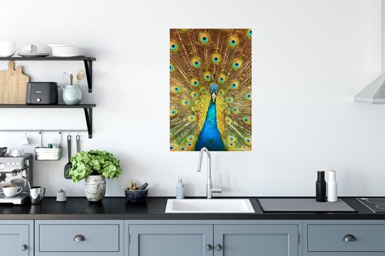 Affiche Paon - Vogel - Blauw - 60x90 cm