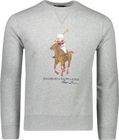 Polo Ralph Lauren  Sweater Grijs Aansluitend - Maat XL - Heren - Herfst/Winter Collectie - Katoen;Polyester