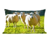 Sierkussen décoratif Mouton pour l'intérieur - Troupeau de moutons au pâturage - 50x30 cm - Coussin intérieur rectangulaire en coton