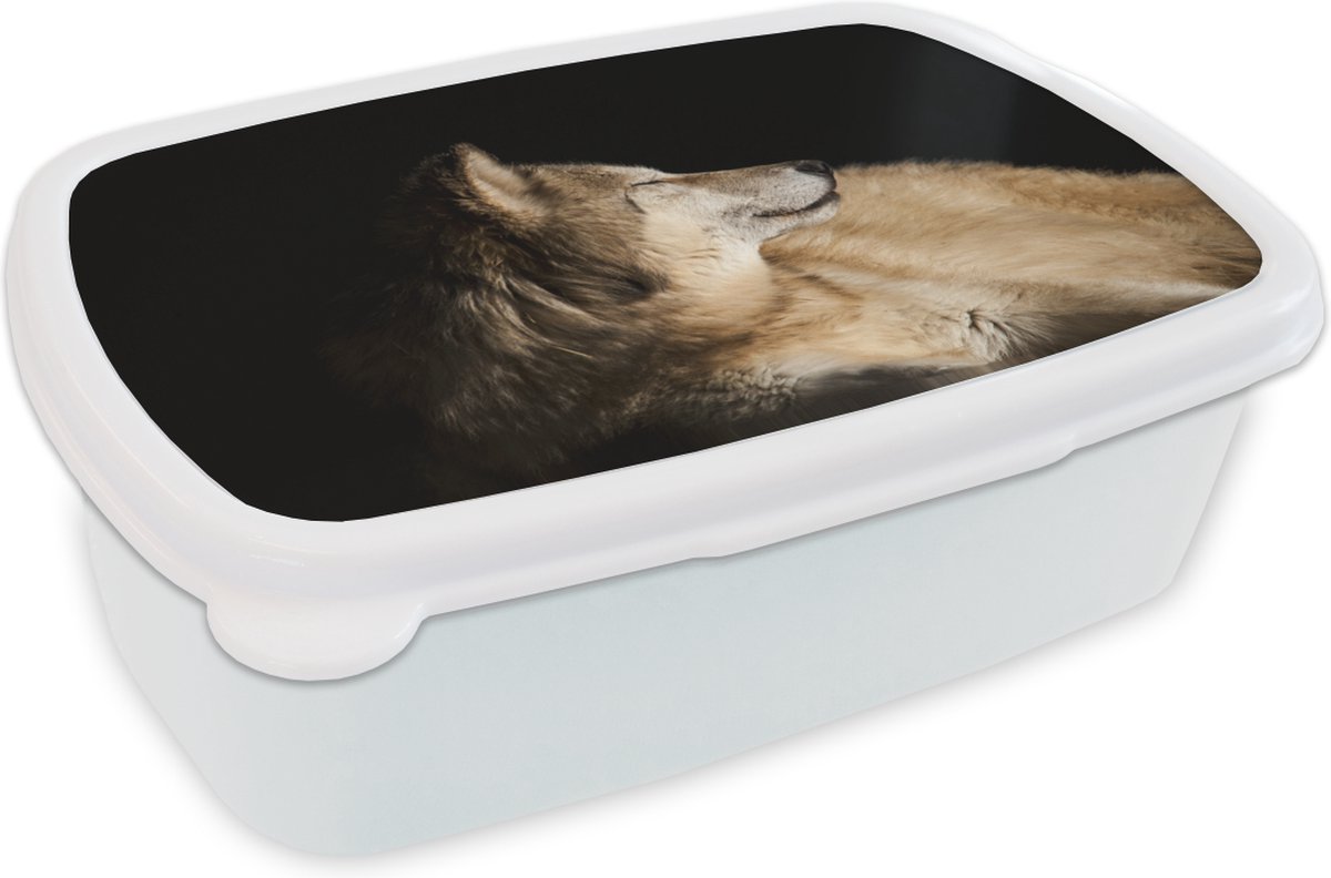 Broodtrommel Wit - Lunchbox - Brooddoos - Tevreden arctische wolf - 18x12x6 cm - Volwassenen