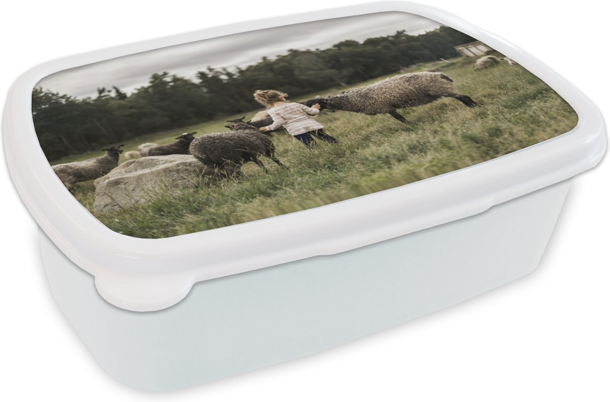 Broodtrommel Wit - Lunchbox - Brooddoos - Meisje - Schaap - Gras - 18x12x6 cm - Volwassenen
