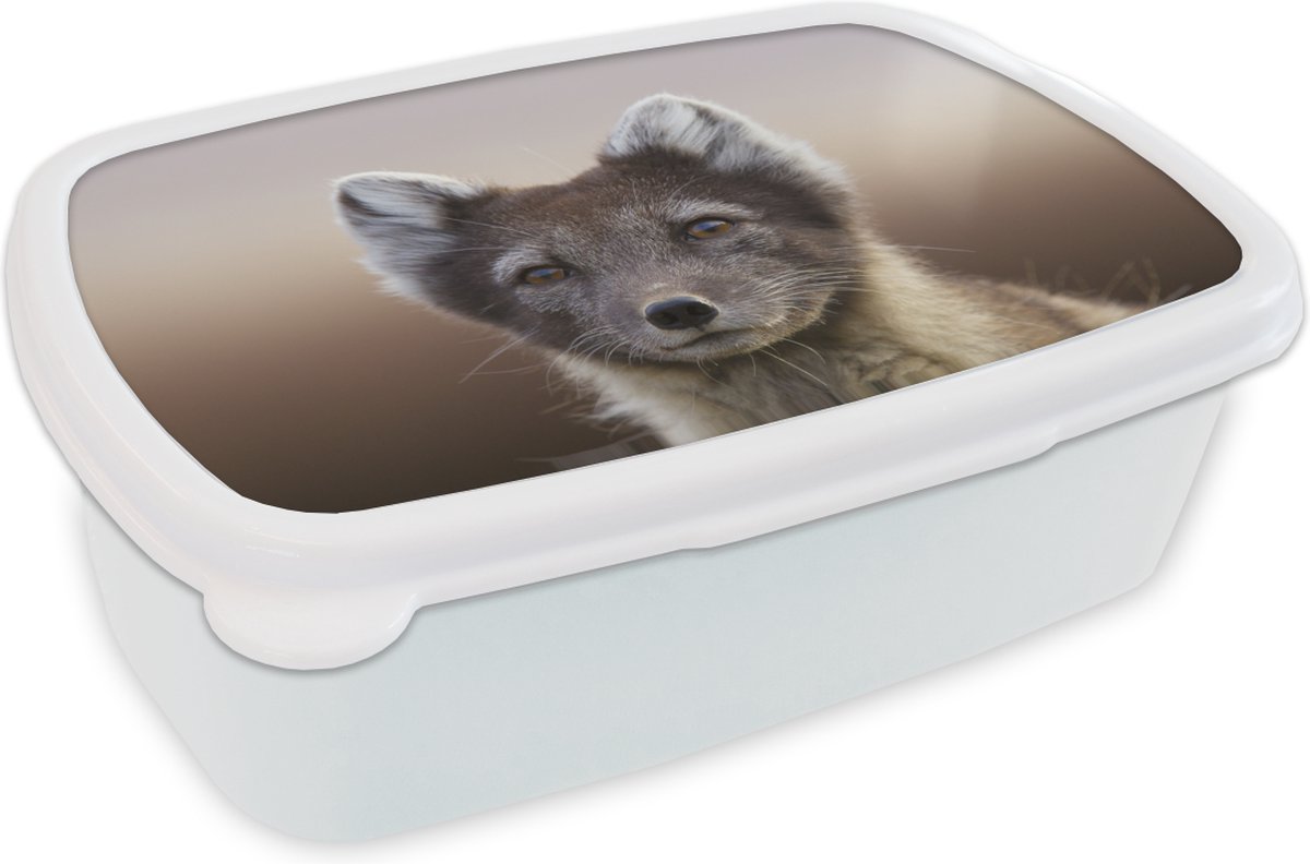 Broodtrommel Wit - Lunchbox - Brooddoos - Vos - Welp - Vacht - 18x12x6 cm - Volwassenen