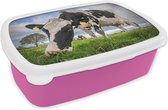Broodtrommel Roze - Lunchbox - Brooddoos - Koe - Gras - Boerderij - Natuur - 18x12x6 cm - Kinderen - Meisje