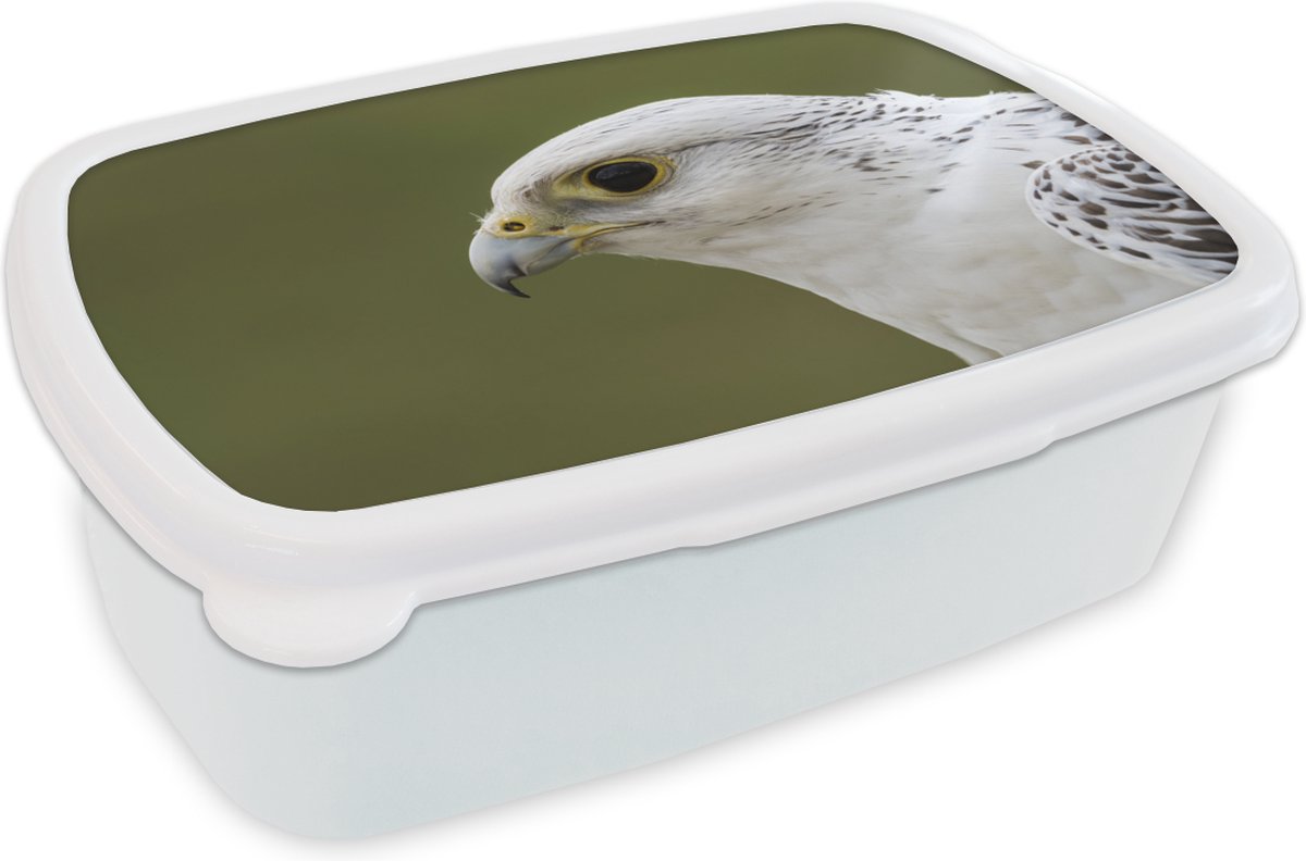 Broodtrommel Wit - Lunchbox - Brooddoos - Valk - Portret - Wit - 18x12x6 cm - Volwassenen