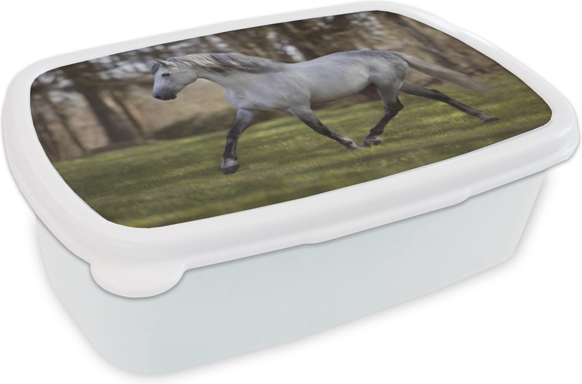 Broodtrommel Wit - Lunchbox - Brooddoos - Paard - Schimmel - Gras - 18x12x6 cm - Volwassenen