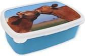 Lunchbox Blauw - Lunchbox - Boîte à pain - Vaches - Marron - Herbe - 18x12x6 cm - Enfants - Garçon