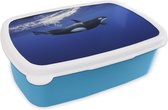 Broodtrommel Blauw - Lunchbox - Brooddoos - Orka in helder water - 18x12x6 cm - Kinderen - Jongen