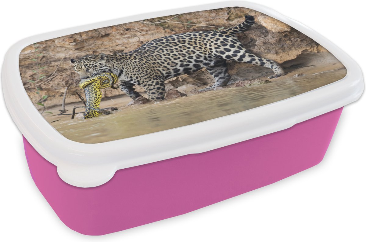 Broodtrommel Roze - Lunchbox - Brooddoos - Jaguar - Slang - Water - 18x12x6 cm - Kinderen - Meisje